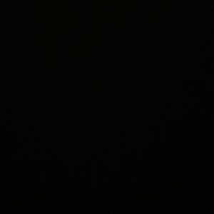 Meet your Posher, Rickey